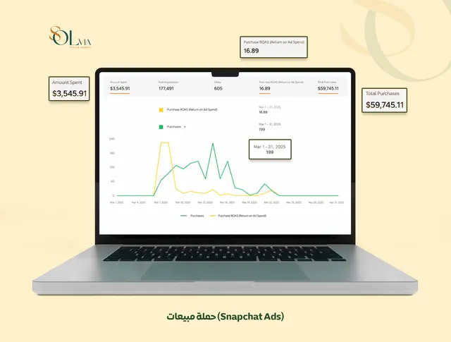 Paid Advertising Management, Meta, Google, TikTok & Snapchat - 4